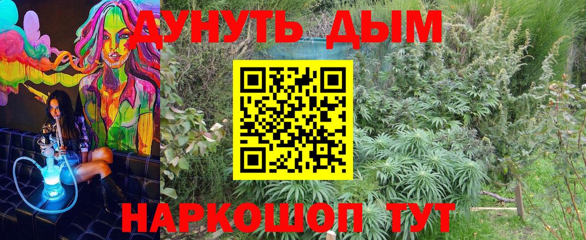 МАРИХУАНА тримм  Вход с VPN  Конопля ГИДРОПОН  Конопля план  Советский 
